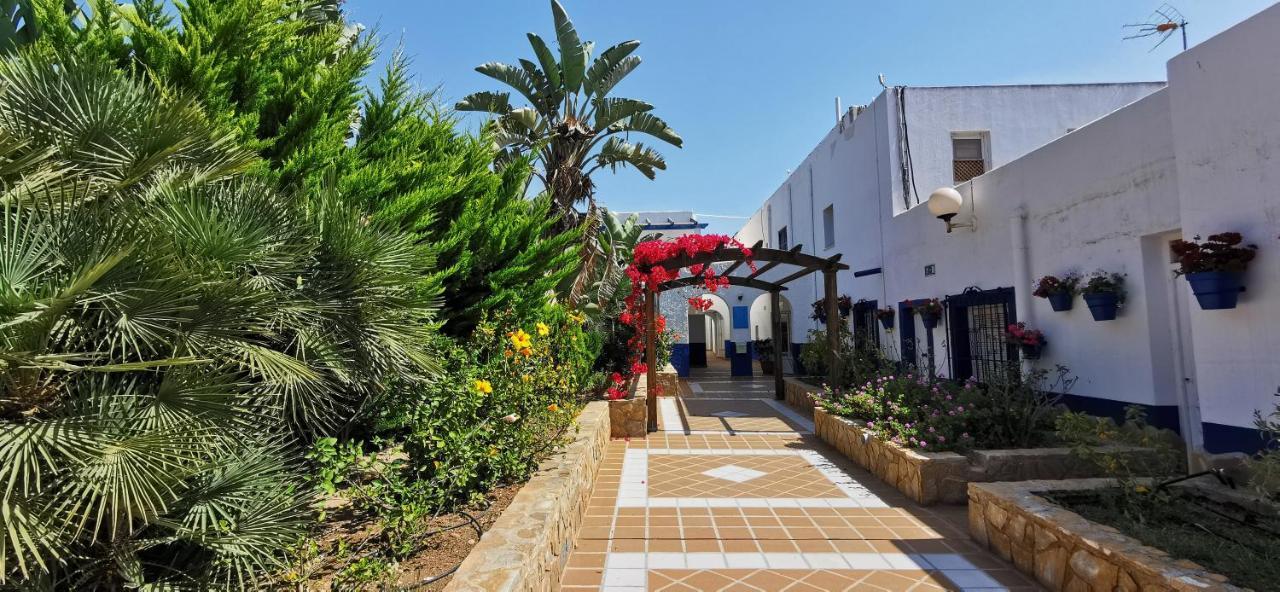 Twin Room Terrace